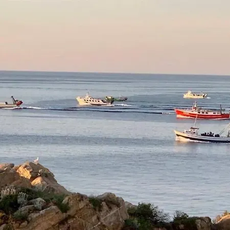 Palamos *
