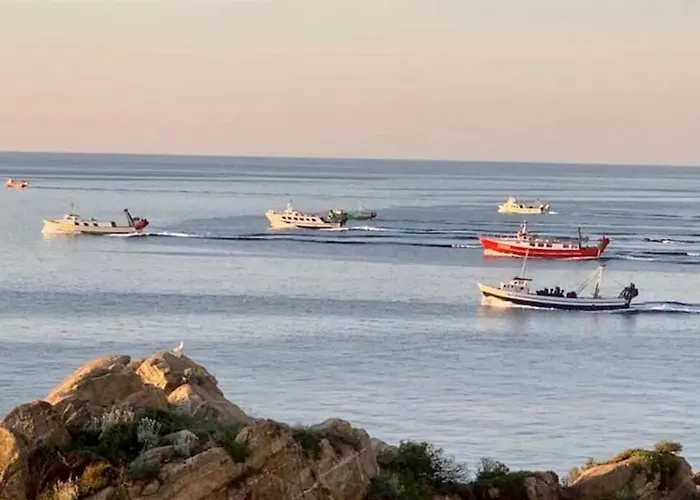 Palamos *